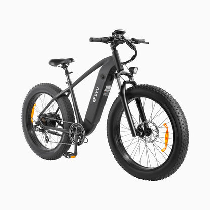 DYU King 750 Fat Tire Electric Bike