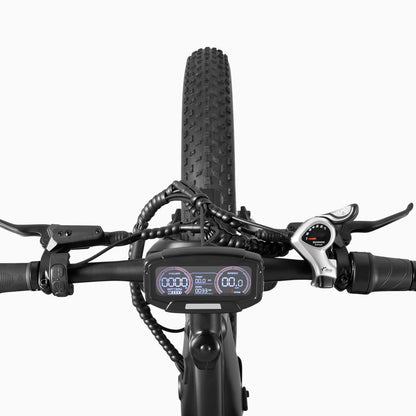 DYU King 750 Fat Tire Electric Bike