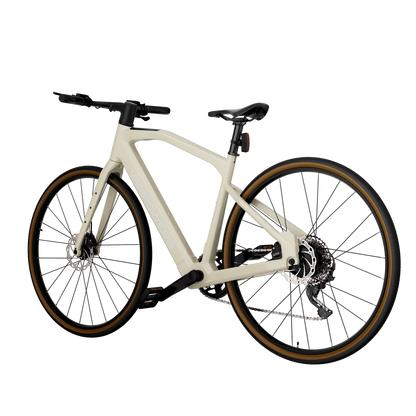 Vanpowers UrbanCross-Pro Electric Bike