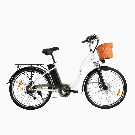 DYU C6 City Electric Bike